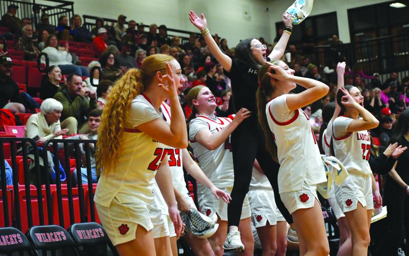 Wesley Branch/The Clayton Tribune. The Rabun County bench erupts after a made 3-pointer in the Lady Cats’ 68-26 win over Commerce on Feb. 12. The Lady Cats are the No. 1 seed in this week’s region tourney, being played at Piedmont University.