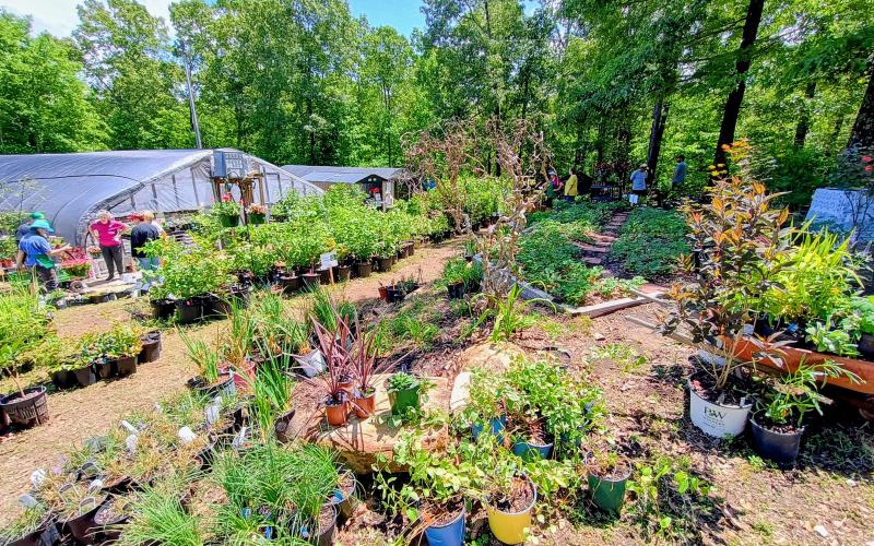 Megan Horn/The Clayton Tribune. The Headwaters Master Gardeners Spring Plant sale was a success this year. It was held May 6-May 9 at the Victory Home Greenhouse, 157 Victory Home Lane in Tallulah Falls. Funds from the plant sale will go toward community gardening projects in Rabun, White and Habersham counties; to high school scholarships; and to Victory Home to support their residential treatment program for substance addiction.
