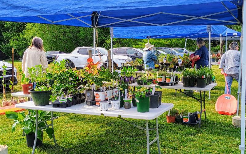 Megan Horn/The Clayton Tribune. Proceeds from the Old School Garden (OSG) Spring Plant Sale go back into supporting the community. Also, 35 percent of the produce the OSG grows is donated to the Food Bank of Northeast Georgia.