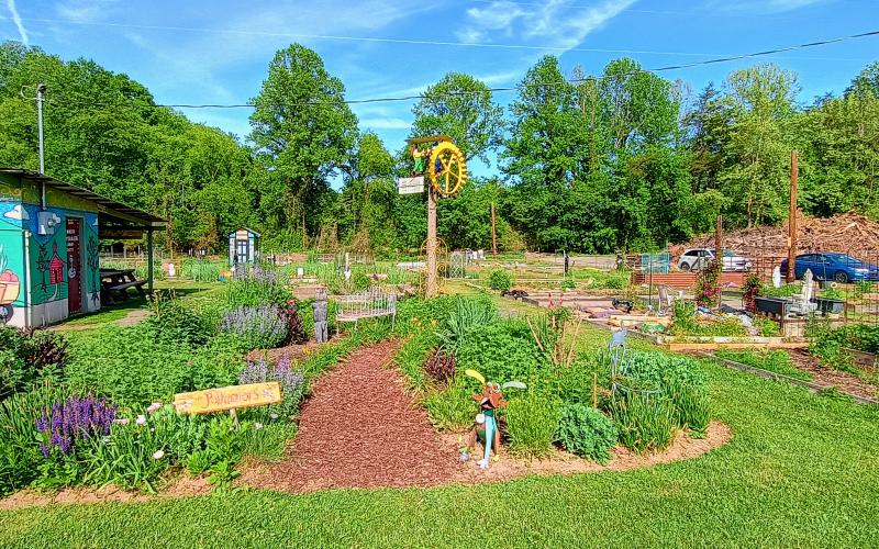 Megan Horn/The Clayton Tribune. The Old School Garden (OSG) is a nonprofit community garden, located at 837 Highway 76, Clayton, in the Clayton City Hall Complex. It includes plots with many different kinds of plants, including these pollinators.