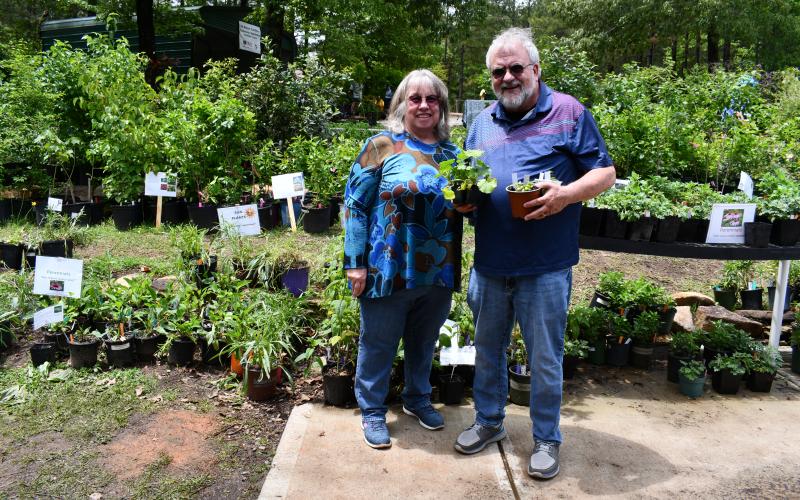 Megan Horn/The Clayton Tribune. Jerry and Darlene Armstrong were customers during the Headwaters Master Gardeners Spring Plant Sale at Victory Home. Among thousands of plants to choose from, the couple selected several plants including zucchini, basil and oregano.