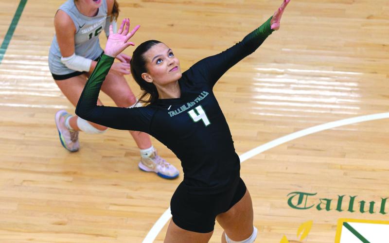 Submitted photo. Beatriz Araujo of Tallulah Falls prepares to strike the volleyball.