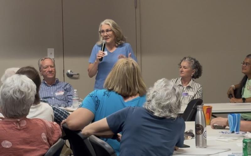 Photos courtesy the Rabun County Democratic Party. Martha McManus of North Georgia Headwaters Indivisible (NGHI) discusses the group’s vision.