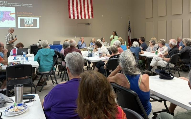 Photos courtesy the Rabun County Democratic Party. Elaine Robichaux, Northeast Georgia Regional Organizer for Ground Game Georgia, addresses the crowd.