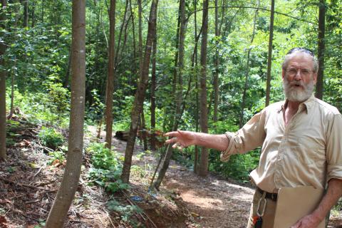 Megan Broome/The Clayton Tribune. Buzz Williams, program associate for Chattooga Conservancy, points out rare plants and native vegetation in Stekoa Creek Park, located near Stekoa Creek, as he talks about the history of the park.