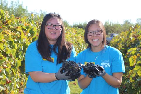 Megan Broome/The Clayton Tribune. Stephanie Chan, left, and Sharon Chan pick grape clusters in Tiger last Saturday to donate to the Food Bank of Northeast Georgia as part of the Society of St. Andrew Harvest of Hope retreat. A group of 25 people stayed at the Pinnacle Retreat Center in Clayton for a faith-based, immersive experience into hunger. 