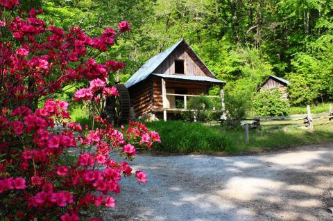 Photo credit: Foxfire Museum and Heritage Center 
