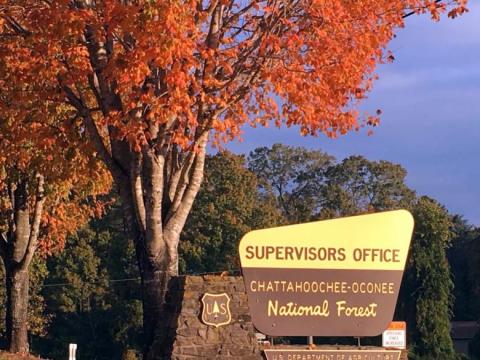 Chattahoochee-Oconee National Forest