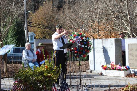 Megan Broome/The Clayton Tribune. Doug Wayne, DAV Chapter 15 commander, addresses a crowd of veterans and residents at the Veterans Day ceremony held at the Rabun County courthouse last Saturday. He said that it’s important to honor those veterans living and those who have passed away. 