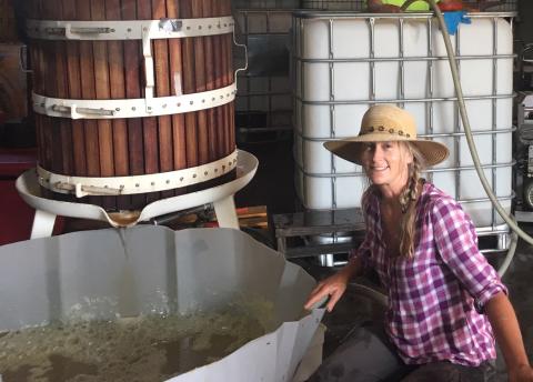 Tiger Mountain Vineyards was recently awarded two gold medals in the annual 2020 Georgia Trustees Wine Competition.