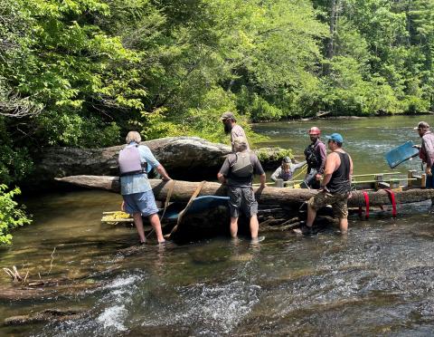 Submitted photo. A canoe found in the Chattooga River last year has been identified by the South Carolina Institute of Archeology and Anthropology as a 200-year-old artifact possibly made by Cherokee Indians or early European traders. Local nonprofit Chattooga Conservancy is working with the Forest Service to remove the canoe from the river and preserve it. A group of volunteers works to transfer the canoe into a protective cradle earlier this month. 