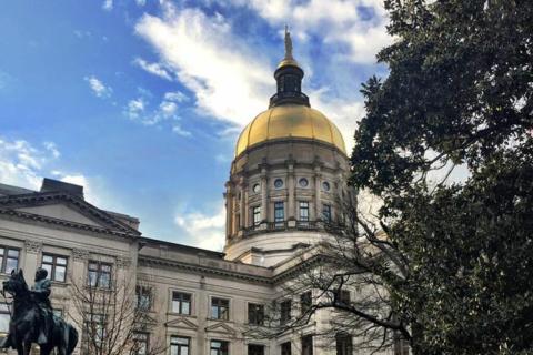 Politics will dominate the upcoming redistricting in Georgia, experts say. 