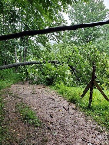  Photo courtesy of Melissa White. A fallen tree on Cecil Cannon Rd. in Rabun Gap Tuesday was part of the aftermath caused by Tropical Storm Fred. The storm brought strong winds, flash flooding and some downed trees throughout Rabun County. 