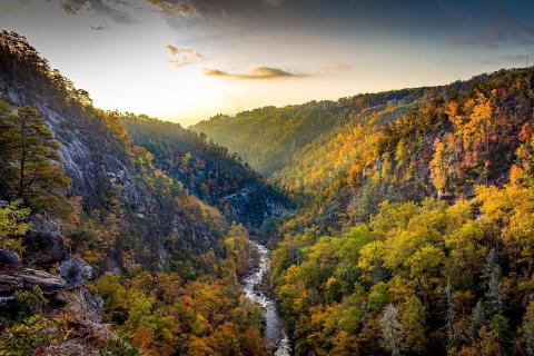 Georgia State Parks website. Tallulah Gorge State Park. 