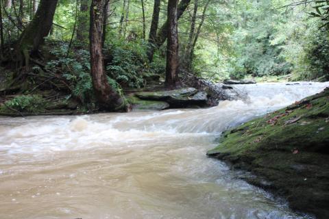 Photo courtesy of Conner Horn. A view of Stekoa Creek off of Rickman Airfield Road just outside of the Clayton city limits.