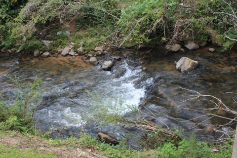 Megan Broome/The Clayton Tribune. A view of Stekoa Creek from Stekoa Creek Park in Clayton. The park is located behind the Georgia Mountain Market and was built by the Chattooga Conservancy. 