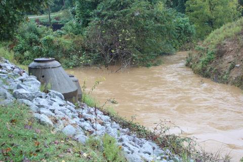 Megan Broome/The Clayton Tribune. A view of Stekoa Creek from Duvall Street in Clayton. The riparian buffer zone is 50 feet on either side of the creek, as mandated by the state of Georgia, for trout streams. 