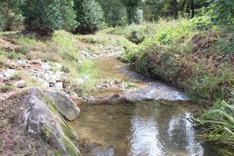 Megan Broome/The Clayton Tribune. A view of Scott Creek, an impaired tributary to Stekoa Creek, behind Clayton Municipal Complex. Once in Clayton, Scott Creek flows behind the Clayton Municipal Complex and is bordered by a field that is designed as a greenway zone and disc golf area. The Clayton Municipal Complex sits in the Scott Creek floodplain.