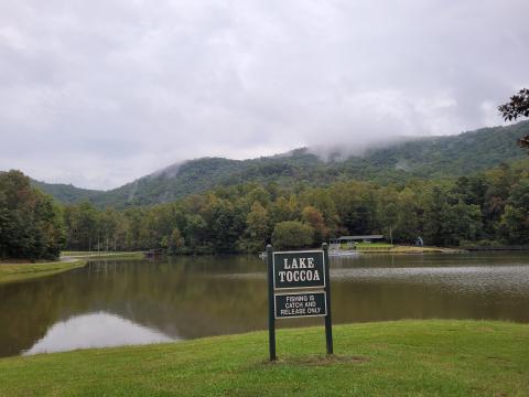 Megan Broome/The Clayton Tribune. She Creek starts on the northwestern flank of Rainy Ridge and flows downstream to enter Lake Toccoa, which is used as an amenity of the Rainy Mountain Boy Scout Camp for swimming and other recreational purposes.