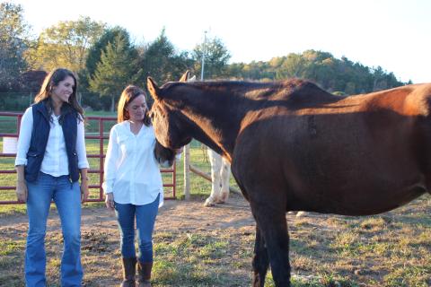 Megan Broome/The Clayton Tribune. Amanda Howard Pileski, licensed psychologist and clinical director of Georgia Mountain Psychological Associates (GMPA), left, and Sunny Volano, licensed professional counselor and director of operations for GMPA, have expanded GMPA services to Londora Valley Farm in Rabun Gap for equine assisted psychotherapy. The goal is for clients to work with horses and help them process and learn to cope with difficult life experiences.