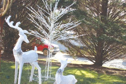  Megan Broome/The Clayton Tribune. Christmas trees similar to this one were stolen from the Christmas Village of Lights display in Tiger overnight last Thursday. Also damaged were a control box and extension cords. The trees weighed about 30 pounds each and two white and two multi-color were stolen. About $1,200 worth of damage was done. 