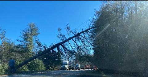 Photo courtesy of Jenifer Kulow. Megan Broome/The Clayton Tribune. Highway 76  East was shut down for six hours due to trees and power lines being down following Monday's overnight storm.