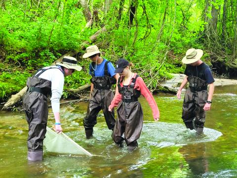 Megan Broome/The Clayton Tribune. Current students and graduates of Western Carolina University use a net to catch insects in Bettys Creek and conduct insect monitoring to determine the health of the stream based on the the health of the insects. Dr. Bill McLarney, aquatic conservation biologist with Mainspring Conservation Trust, also led the group of students through a fish biomonitoring session as part of the Trust’s Stream Biomonitoring Program.