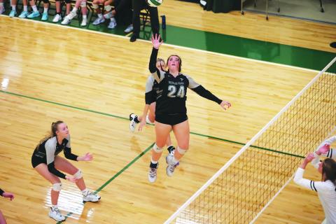 Courtesy of Austin Poffenberger. Senior Addy McCoy goes up for a hit on Monday night. After a nine day break, the Lady Indians have picked up where they left off with four straight wins. 