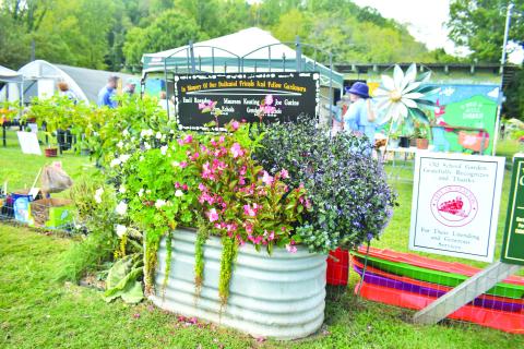 Megan Broome/The Clayton Tribune. The Old School Garden at the Clayton City Hall Complex grounds off of Highway 76 hosts its fall plant sale on Oct. 1 as plenty of healthy and colorful plants were on display.