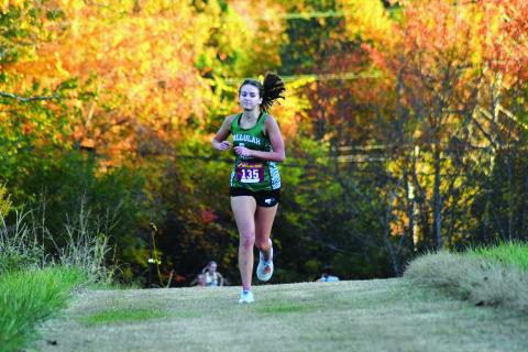 Enoch Autry/The Clayton Tribune. Tallulah Falls girls runner Ellesen Eubank was the top Lady Indians finisher as the senior came in 11th at the Region 8 meet.