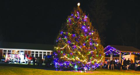 Megan Broome/The Clayton Tribune. Crowds of people turned out to Dillard City Hall on Sunday to attend the City of Dillard’s Christmas Tree lighting event. The colorful tree shined brightly in the evening sky as community members enjoyed fun, fellowship, caroling and good food. 