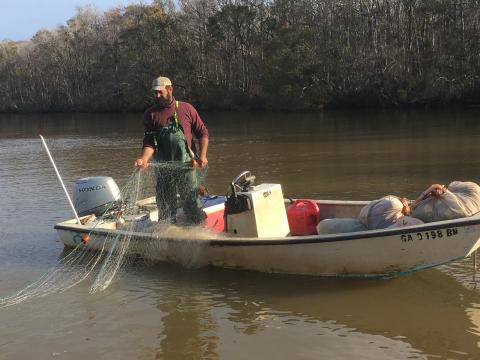 Courtesy of Aubrey Pawlikoski. 2023 shad fishing starts on Jan. 1. After a disappointing 2022 season, fisheries biologist Jim Page is hopeful heading into the new season. Page said the reward values of tagged shad in Altamaha River is also increasing, ranging from $10-100. 