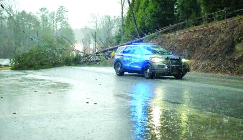 Luke Morey/The Clayton Tribune. The Jan. 12 storm downed trees that disrupted power for residents. Among those fallen trees were this one on Old Highway 441 near Leaning Chimney in Clayton.