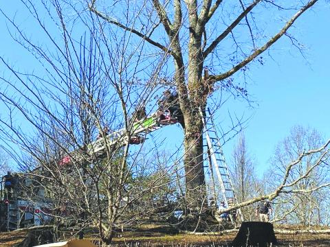 Habersham County photo/Rob Moore. Utilizing a ladder truck, crews from Habersham County Emergency Services work to free an injured Rabun Gap man from a tree in Montego Bay in Clarkesville, Ga. Feb. 6. The man died the next day as a result of injuries sustained. 