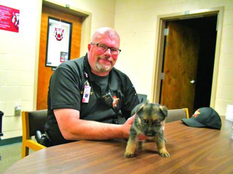 Megan Broome/The Clayton Tribune. Rabun County Sheriff’s Office School Resource Deputy Eric McKinney introduces his new partner, 5-week old German Shepherd puppy “Honor,” who soon will be in training at Rabun County Schools. Left photo from Rabun County Schools.