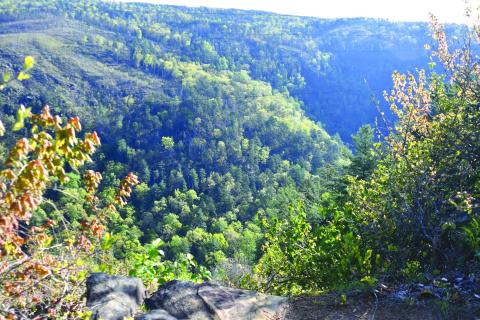 Enoch Autry/The Clayton Tribune. The scenic overlook at the Tallulah Gorge in Tallulah Falls offers visitors quite a view. If a rails to trails project comes to fruition in Tallulah Falls and beyond, visitors will have the opportunity to see even more areas of the Northeast Georgia mountains.