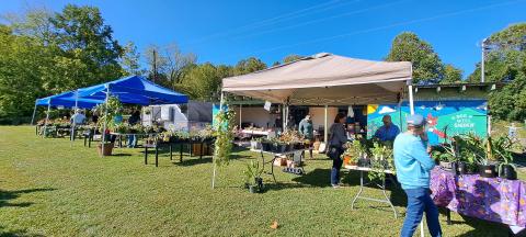 Megan Horn/The Clayton Tribune.  The Old School Garden brought out enthusiastic gardeners for its Fall season plant sale on Oct. 7. The sale featured a large variety of perennial plants ready to plant for spring blooms as well as flowers, herbs, landscaping varieties and medical plants. 