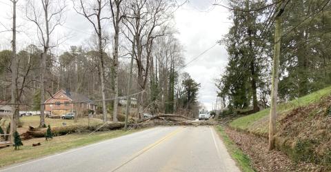 Photo courtesy of Clayton Police Department Assistant Chief John Grist. A downed tree blocked the roadway at  Old Highway 441 South at Dunlap Street for more than four hours on Friday, Dec. 29, 2023. 