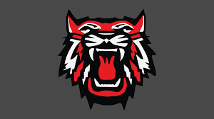 The Rabun County Hall of Fame Committee will honor its 2024 class of inductees on Friday, Sept. 6 before the RCHS football team hosts Dalton at 7:30 p.m.