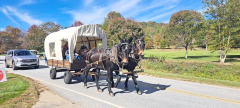 Megan Horn/The Clayton Tribune. A horse-drawn carriage could be seen giving Sky Valley Fall Festival goers lifts through the city on a beautiful sunny Saturday, Oct. 19, day at the 11th annual event. Below: Veterans of Foreign Wars (VFW) Post 4570 cooked hotdogs for the community at the Sky Valley Fall Fest. 