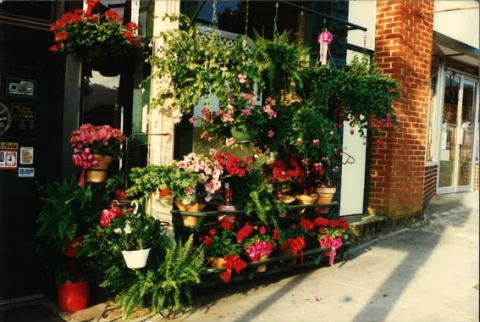 Submitted photo. Beautiful flowers were a site to see at the Clayton Flower Bed, especially during the summer months. These pictures taken in June 1996 display the colorful flowers. 