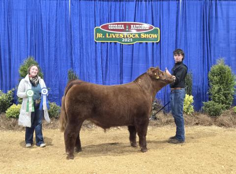 Photos courtesy Rabun County FFA. Rabun County FFA students attended the 2025 State Livestock Show. Many students earned wins. 