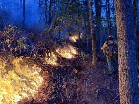 Photo courtesy of James Wettstaed/PIO/firenet.gov. U.S. Forest Service crews battle a wildfire that started in the Chattahoochee-Oconee National Forest.