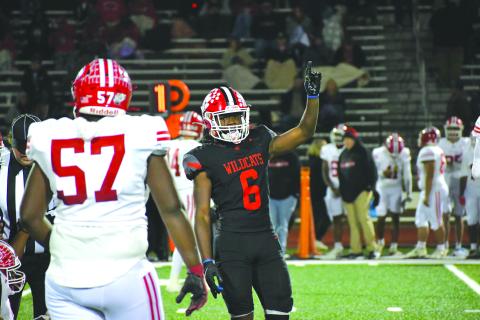 Wesley Branch/The Clayton Tribune. Junior outside linebacker JK Fruster celebrates a defensive stop by Rabun County in the Wildcats’ first-round 56-21 win over visiting Dodge County on Nov. 14. In the game, Fruster blocked a punt and scooped it up and raced 47 yards to the end zone for a score.