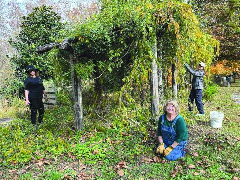 Submitted Photo. Master Gardeners Suzanne Arpin, Paula Ridgewell and Lynn McShane work on the arbor at Stekoa Creek Park on Saturday, Nov. 8. Volunteers help remove invasive species at Stekoa Creek Park. 