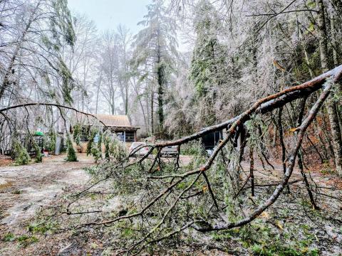 Photo courtesy of Conner Horn. Winter Storm Fern caused downed trees throughout Rabun County, including at this residence three miles west of Clayton city limits near Highway 76 West. 