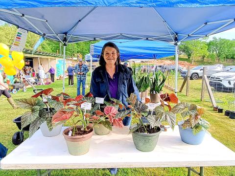 Megan Horn/The Clayton Tribune. Joan Cox happily showcases the Polka Dot Begonias she grew during the Old School Garden (OSG) Spring Plant Sale. The OSG is located at 837 Highway 76, Clayton, in the Clayton City Hall Complex. 
