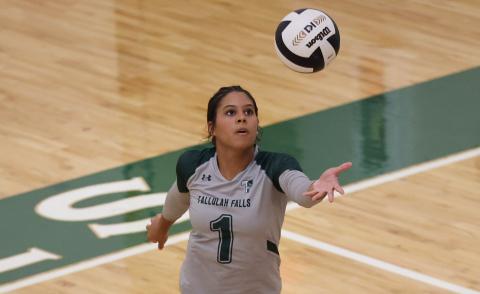 Submitted Photo. Tallulah Falls outside hitter Corrine Swinton from Toccoa, Ga., prepares to serve for the Lady Indians.