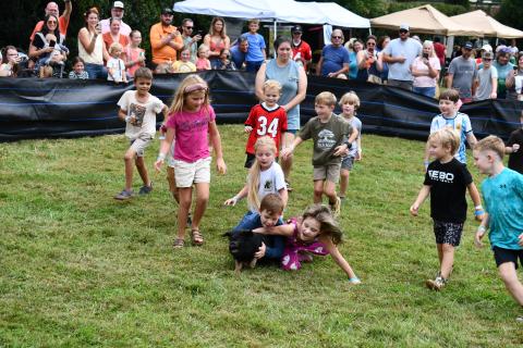 Megan Horn/The Clayton Tribune. Arya Ford, age 7, was the winner of one of the pig races in the 5-7-year-old category at the Foxfire Mountaineer Festival on Oct. 3. Ford, center, is pictured tackling the pig to the ground with help from a fellow competitor. The annual pig races always draw a big crowd.