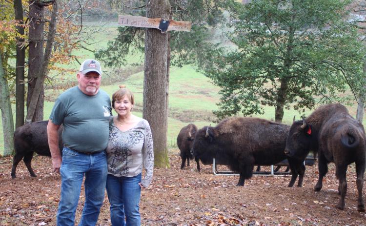 Megan Broome/The Clayton Tribune. Mary Serra and Mike English own nine bison that roam on a 48-acre farm off of Persimmon Rd. Serra named it Tallulah Bison Ranch. Eight of the bison came from Montana and Minnesota. Serra said that owning a herd of bison is something she wanted to check off of her bucket list in her life.
